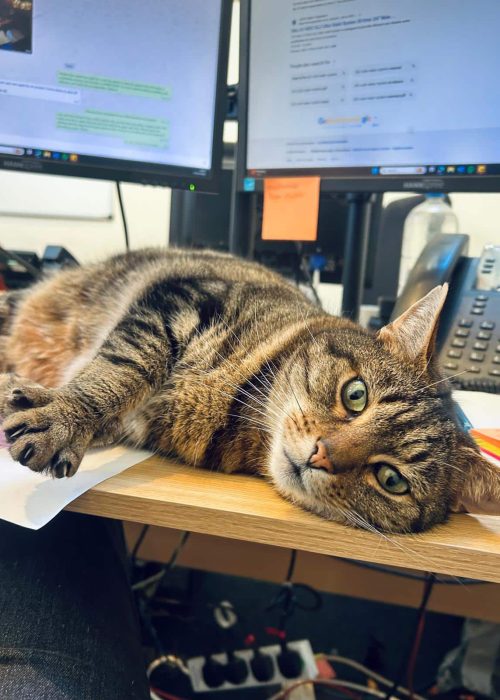 WhatsApp Image 2026-01-27 at 12.25.24